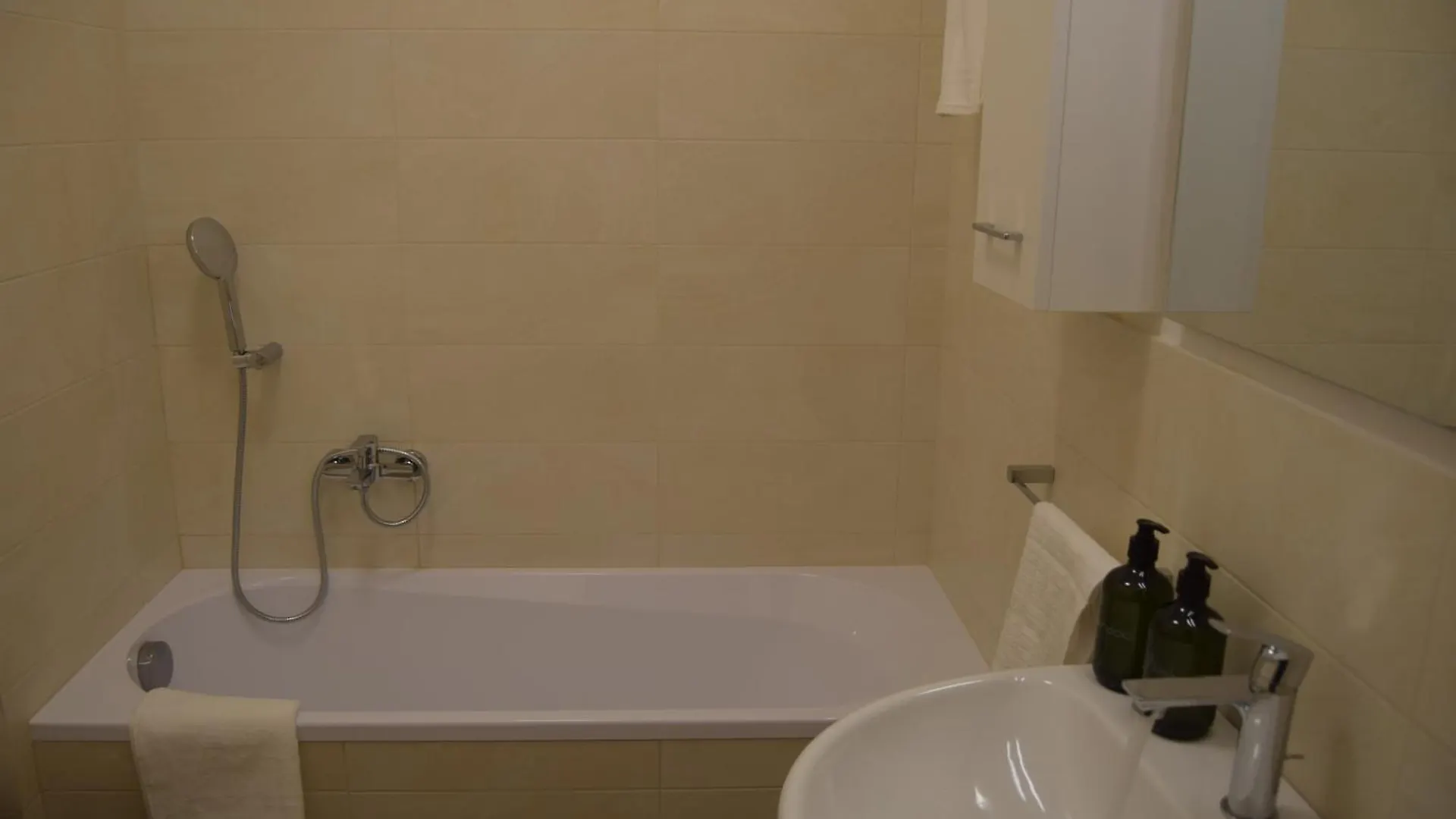 Solferino Apartment Pisa Italy